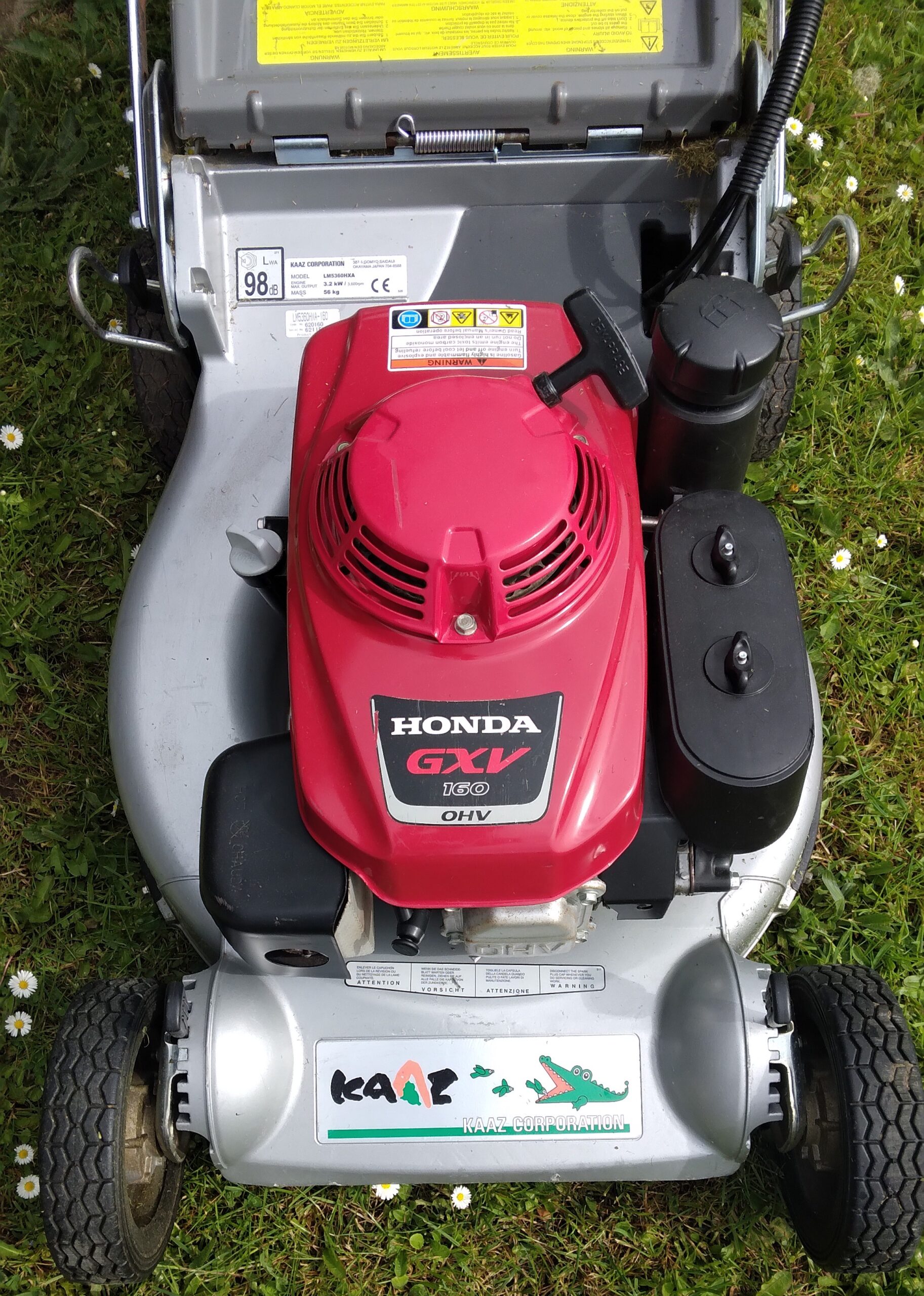 Be Green Siergazon, gazon aanleg, gazon onderhoud, gazon restauratie in limburg en vlaams-brabant