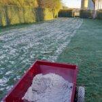 top dressing gazon limburg vlaams-brabant