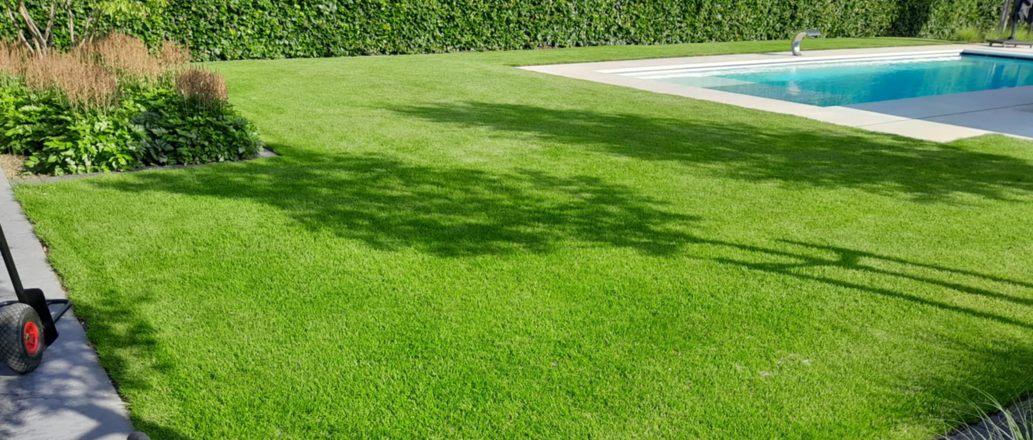 Be Green Siergazon, gazon aanleg, gazon onderhoud, gazon restauratie in limburg en vlaams-brabant
